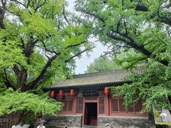 -晋祠公园