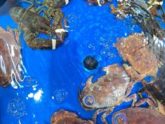 -大润发(姑嫂树店)