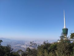 -梧桐山风景名胜区