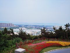 -呼吸森林·生态农庄农家乐私房菜