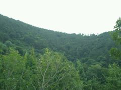 android_upload_pic-楠柏弯休闲山庄(梨花溪店)