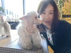 -百好乐宠物友好餐厅(朝外大街店)