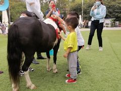 -名驭国际马术学院