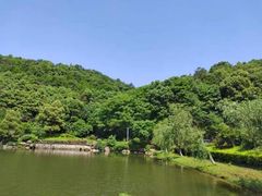 -桃花岭景区