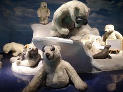 -成都泰迪熊博物馆