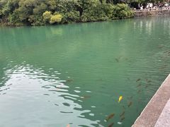 -南宁南湖公园