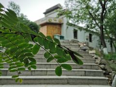 -石老人观光园