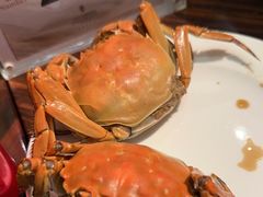 -君来湖滨饭店·玫瑰园