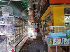 -宠爱我(南山店)