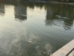-美兰湖景区