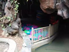 -龙达温泉生态城