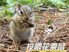 -五营国家森林公园