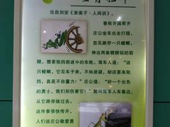 -上海大自然野生昆虫馆(东方明珠·爬宠昆虫探索中心)