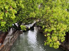 -乌镇东栅景区