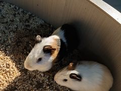 -常州海昌海洋探索馆