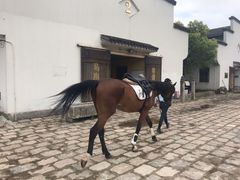 -松声马术俱乐部