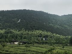 -九龙潭景区