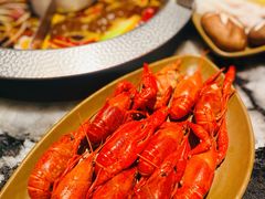 -牛New寿喜烧(新六百店)