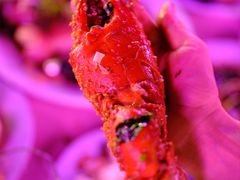 -旗鱼海番村(Orang Asli)