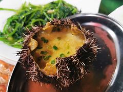 海胆蒸蛋-四川小胡子海鲜(丁村万人海鲜广场店)