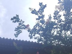 -南华禅寺