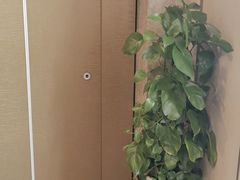 -小厨娘淮扬菜(板桥一店)