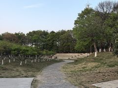 -七桥瓮公园