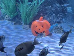 -沈阳海洋探索中心