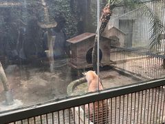-福州动物园