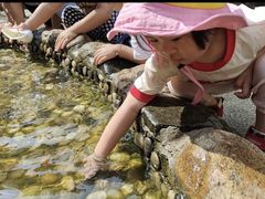 -蒙蒙狮蒙台梭利儿童之家