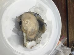 Thajene&nbsp;Chomchan-月满港海鲜酒家