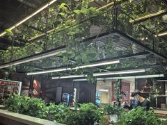 -猫爪爪原切自助烤肉(观音桥阳光世纪店)
