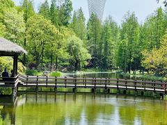 -上海滨江森林公园