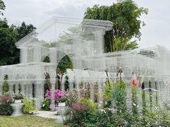 -深圳仙湖植物园