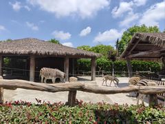 -上海野生动物园