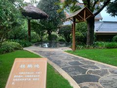 -七彩云南古滇温泉山庄