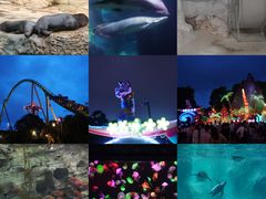 -珠海长隆海洋王国