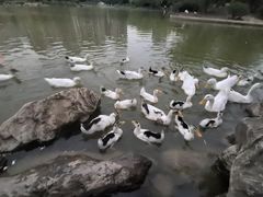 -木塔寺遗址生态公园