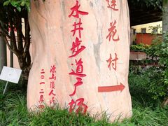 -南山植物园