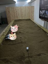 -敖东酵素·离子暖房