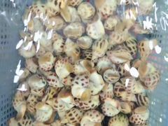 -台州卡金海鲜楼(上南路店)