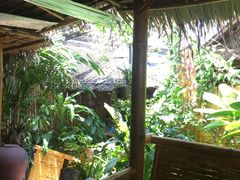 -Jungle Kitchen