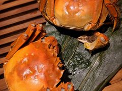 清蒸大闸蟹-成隆行·蟹王府(九江路店)