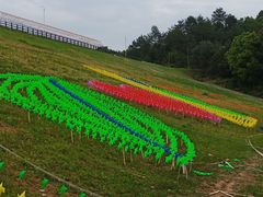 -江西景德镇玉田湖国家湿地公园