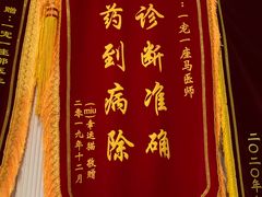 -守诺宠物医院·眼科· 特色牙科·异宠专科(虹口店)