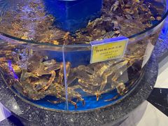 -新海渔港·胶东海鲜家常菜·家宴(奥体中心店)