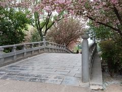 -大明宫国家遗址公园·御道广场