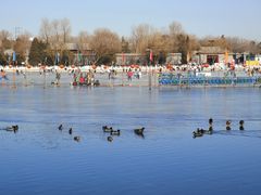 景点-什刹海-后海