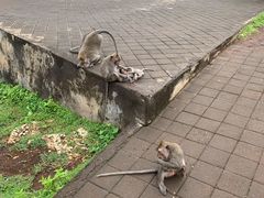 -乌鲁瓦图寺