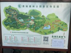 -西双版纳原始森林公园
